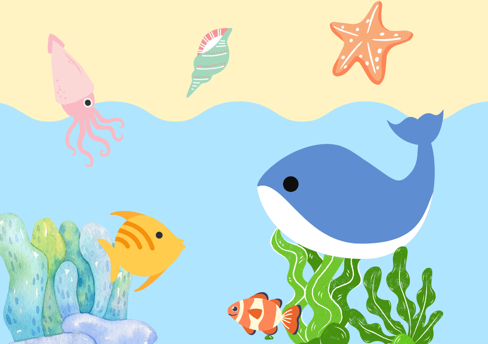 2.1 介紹海洋生物
